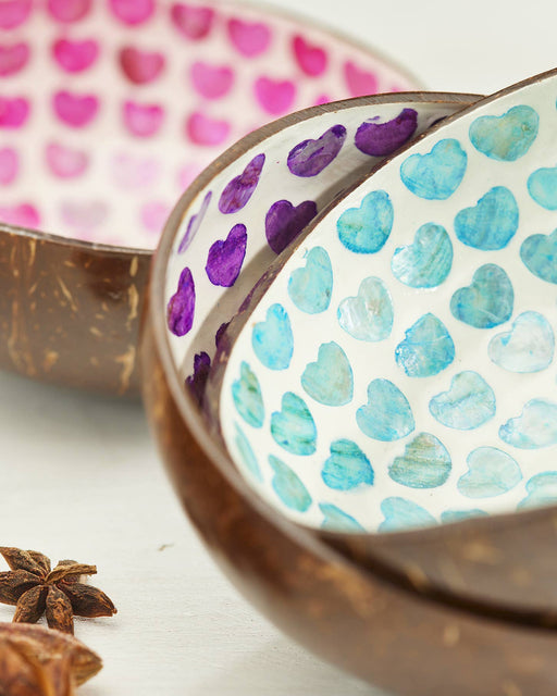 Collection of Shell Hearts Coconut Bowls