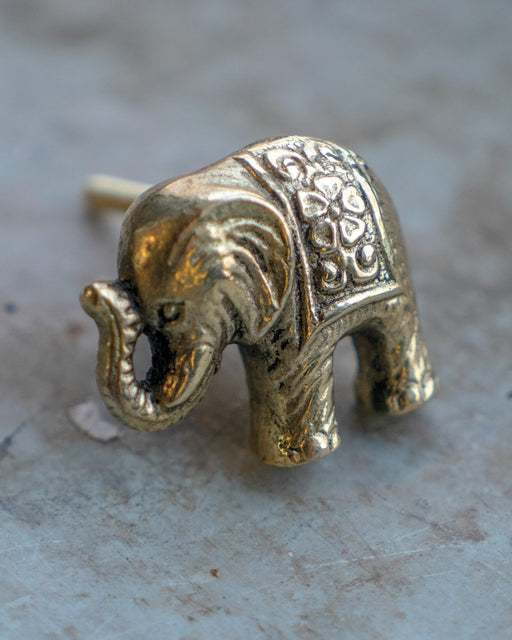 Metal Elephant Shaped Knob on a grey background
