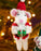 Felt Santa Elf Christmas Decoration