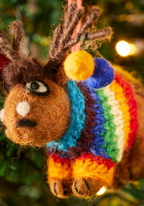 Reindeer in Rainbow Knitted Wool Jumper 2