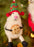 Christmas Sheep Decoration with Cookie