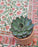 Tea Rose and Olive Green Block Print Tablecloth 130 x 180 cm