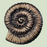 Snail Iron Hook