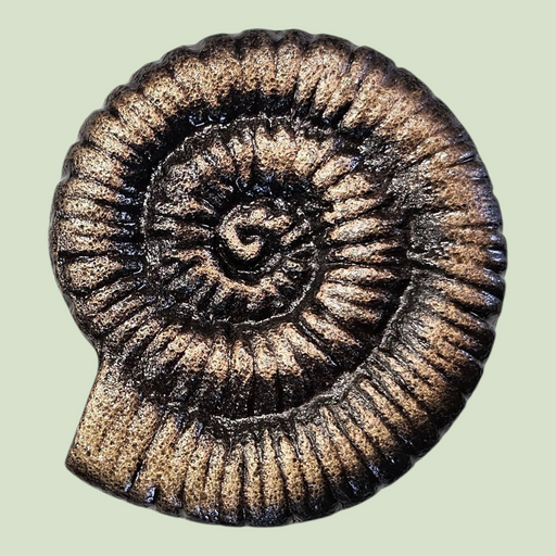 Snail Iron Hook