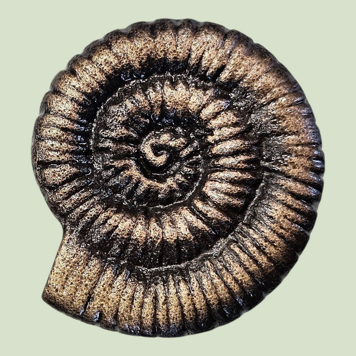 Snail Iron Hook