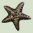 Star Fish Iron Hook
