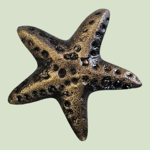 Star Fish Iron Hook