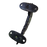 Green Sea Horse Brass Handle